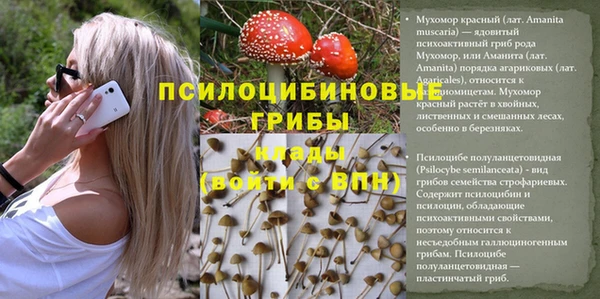 мет Балахна