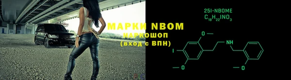 индика Баксан