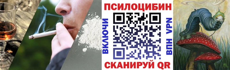 Галлюциногенные грибы мицелий Велиж