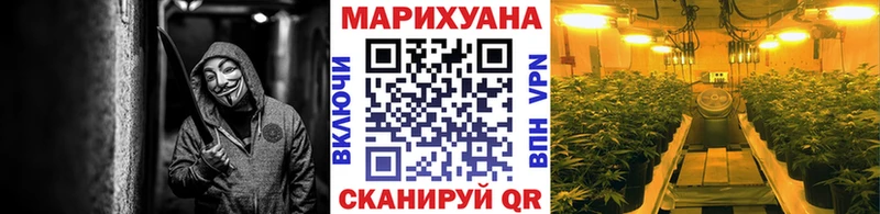 купить наркоту Велиж Каннабис сатива